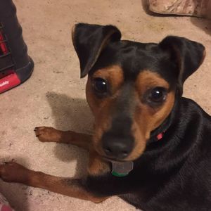 Meet your Posher, Carleen